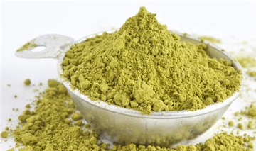 Gymnema Leaf Extract