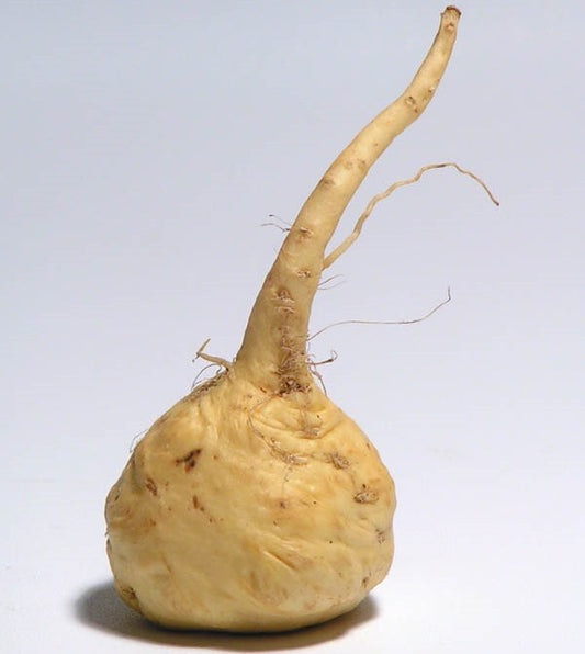 Maca Root - SEANJARI PREETI WOMB HEALING LLC